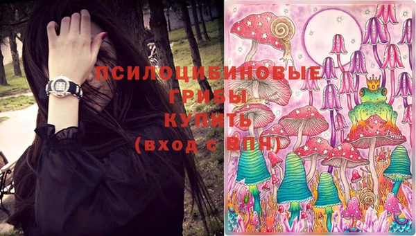 эйфоретик Абинск