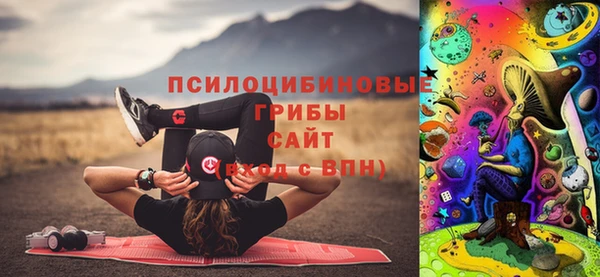 сатива Абдулино