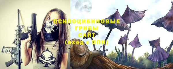эйфоретик Абаза